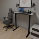 Стол с электрорегулировкой высоты PowerDesk Lite Black